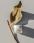 Balm Balm Vanilla Lip Balm | Gold Coast Gifts